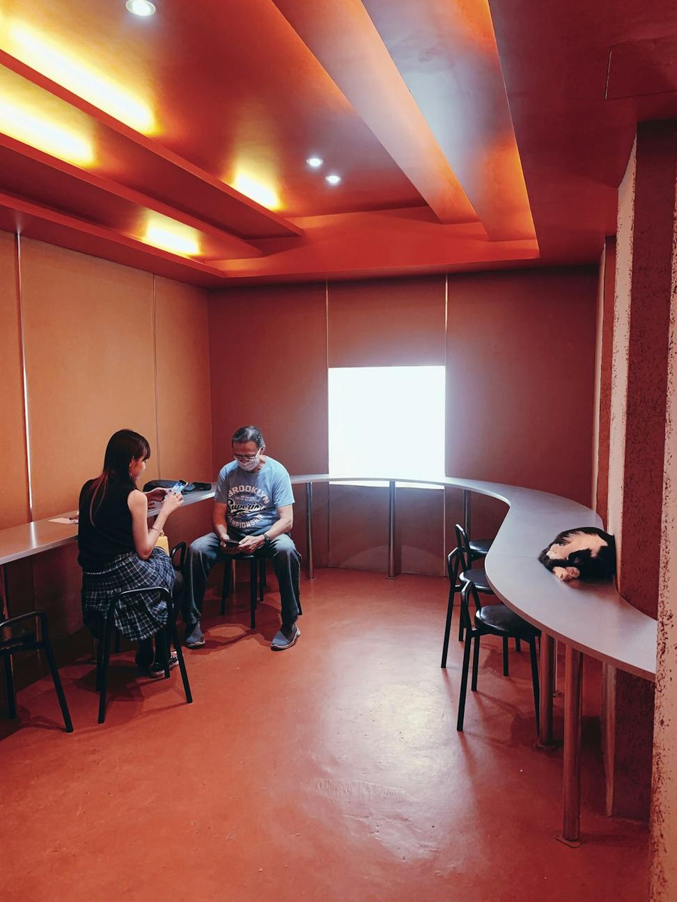 Initial consultation