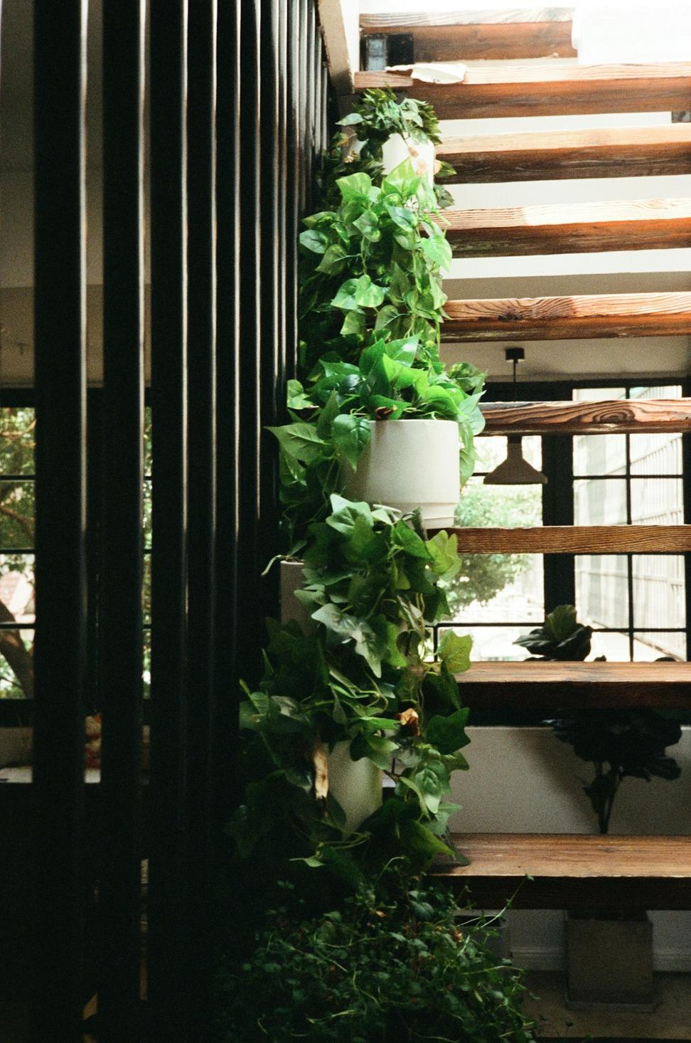 Lynn Valley Green Home